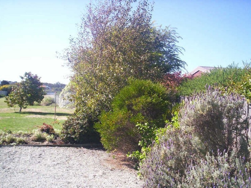 35 Freer Street, Shearwater TAS 7307