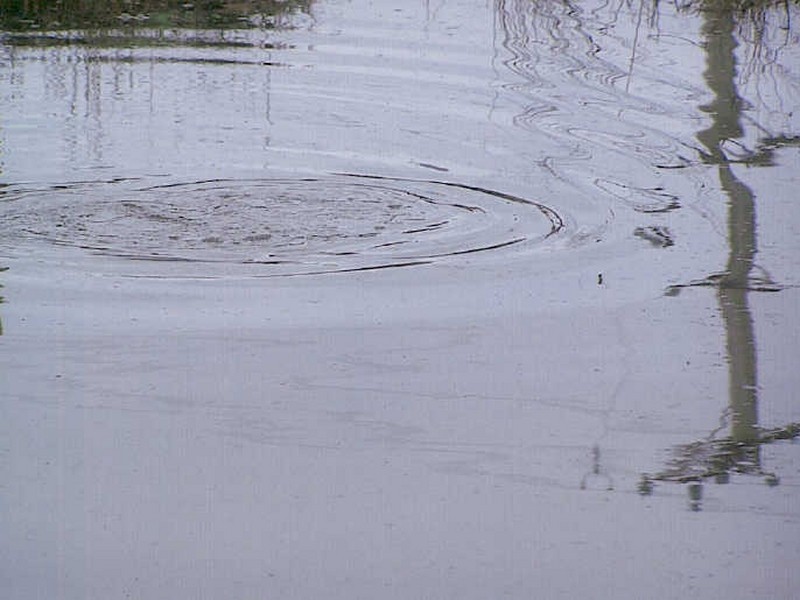 58 Applebys Road, Northdown TAS 7307