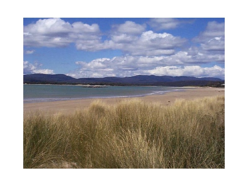 42 Freer Street, Shearwater TAS 7307