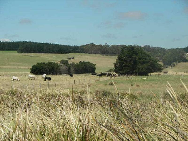 7 Moorland Beach Road, Wesley Vale TAS 7307