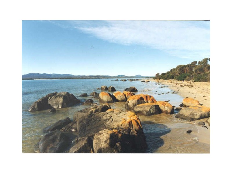 Lot 24 Cabernet Court, Hawley Beach TAS 7307