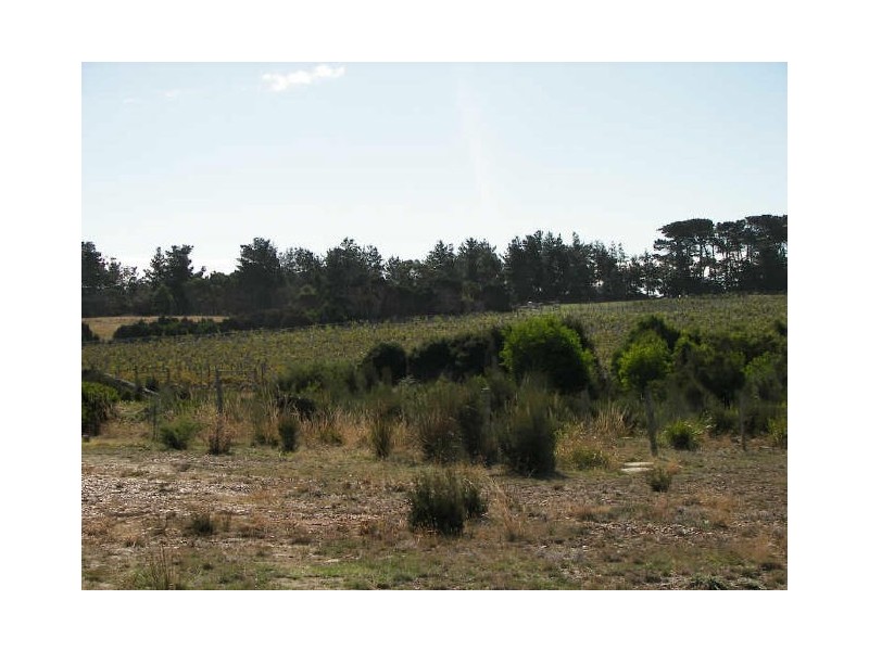 Lot 7 Chardonnay Drive, Hawley Beach TAS 7307