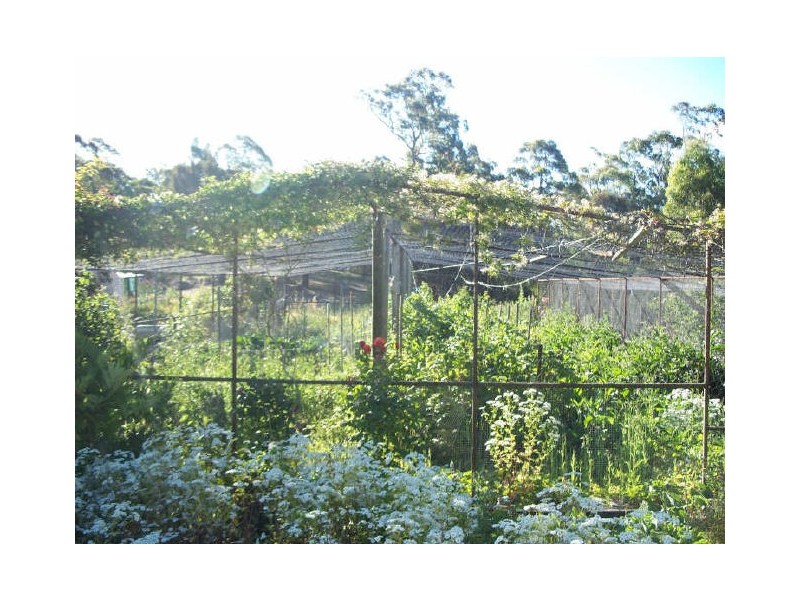 34 Kimberley Road, Railton TAS 7305