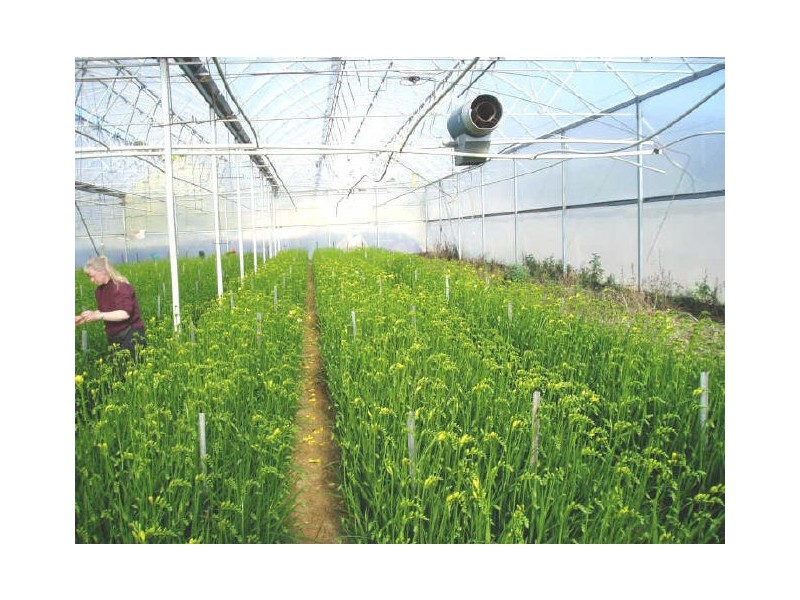 199 Bakers Lane, Northdown TAS 7307