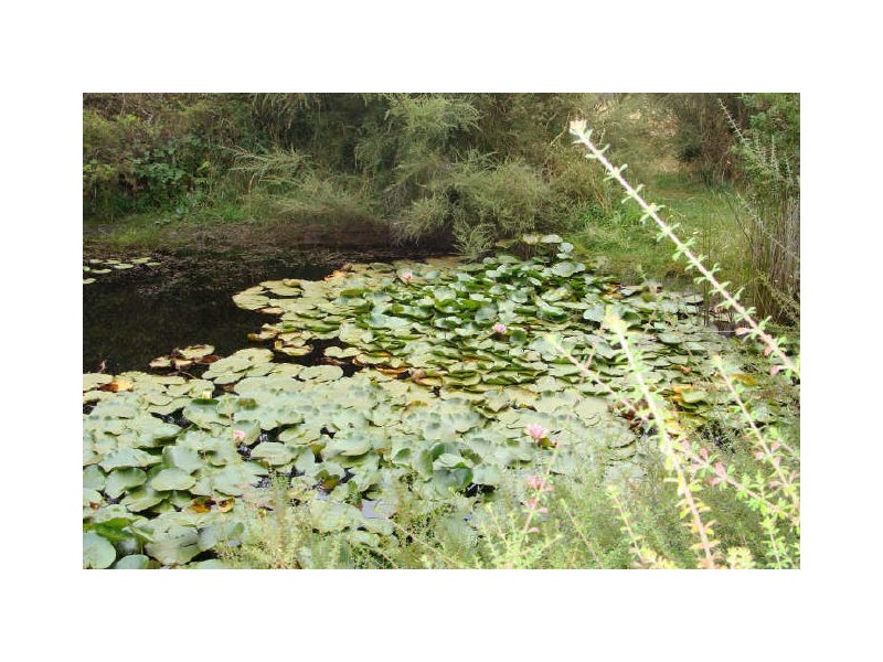 199 Bakers Lane, Northdown TAS 7307