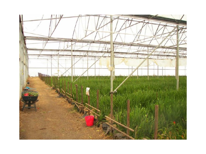 199 Bakers Lane, Northdown TAS 7307