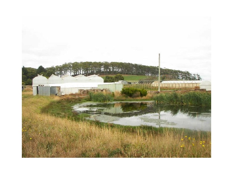 199 Bakers Lane, Northdown TAS 7307