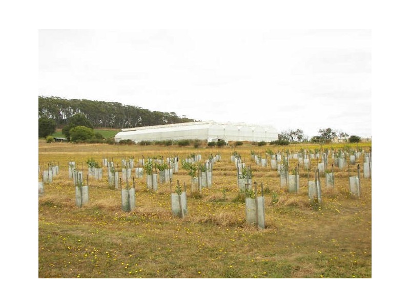 199 Bakers Lane, Northdown TAS 7307