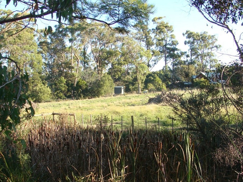 42 Springfeild Park, Northdown TAS 7307