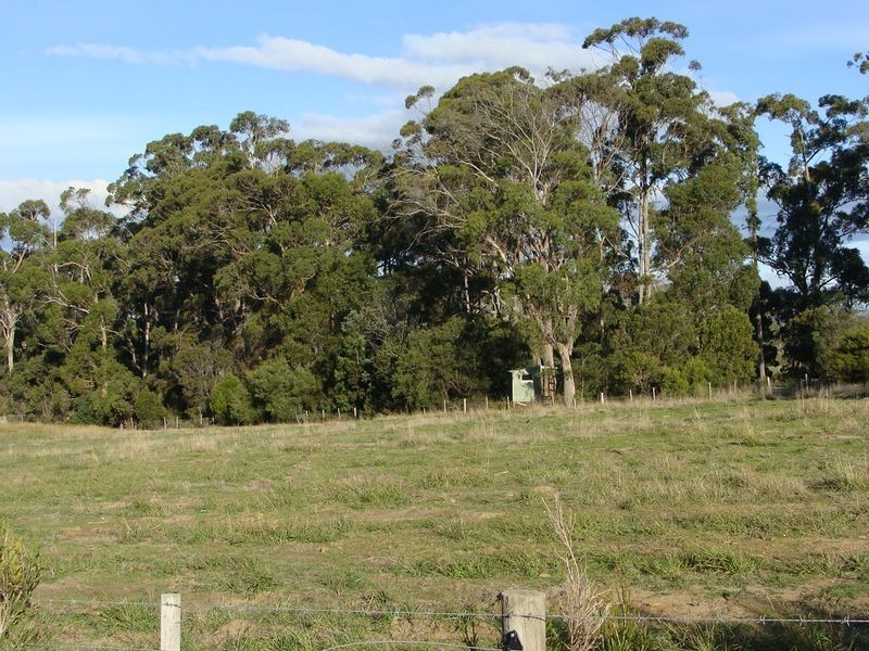 42 Springfeild Park, Northdown TAS 7307