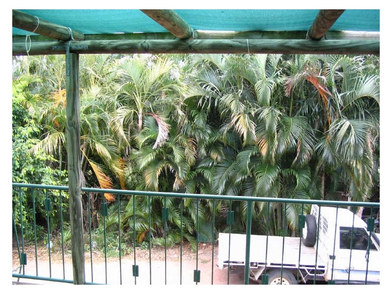 Hermit Park QLD 4812