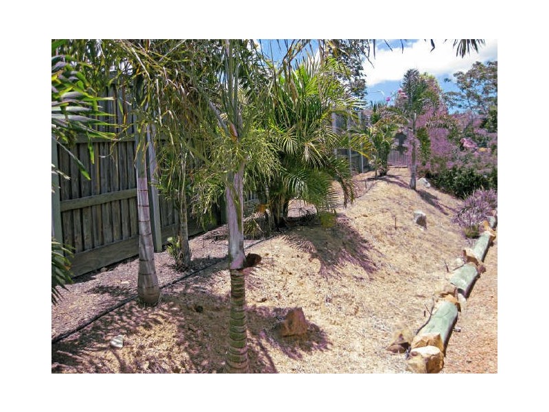 3 Azure Court, Douglas QLD 4814