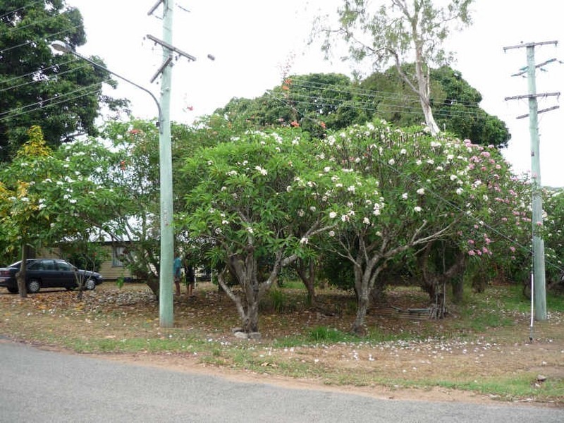1 Lilac Street, Nelly Bay QLD 4819