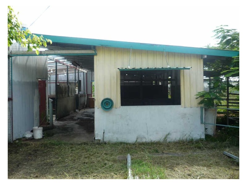 20 Pasteur Street, Wulguru QLD 4811