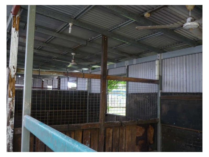 20 Pasteur Street, Wulguru QLD 4811