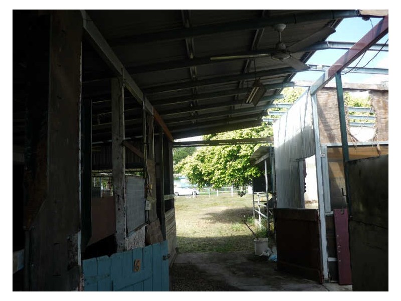 20 Pasteur Street, Wulguru QLD 4811