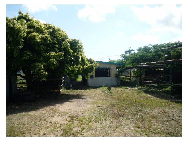 20 Pasteur Street, Wulguru QLD 4811