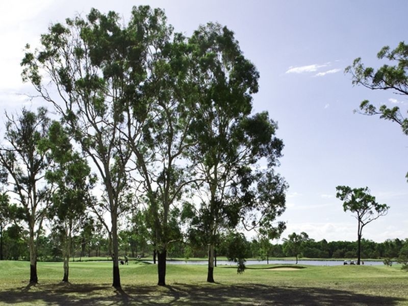 20 Lakeview Court, Kirwan QLD 4817