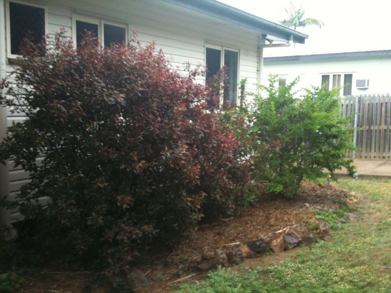 51 Powell Street, Wulguru QLD 4811