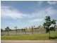 43 Lakeland Blvd, Idalia QLD 4811