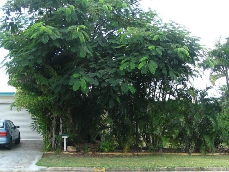 54 Macarthur Drive, Annandale QLD 4814