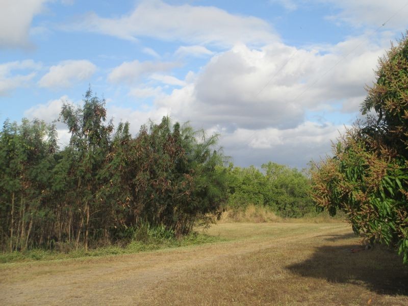 23 Mcpherson Street, Oonoonba QLD 4811