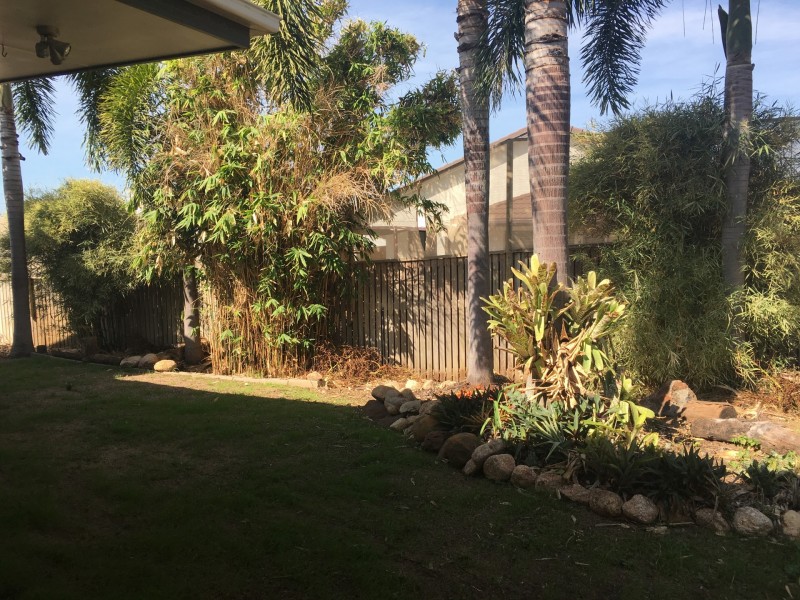 6 Girraween Avenue, Douglas QLD 4354