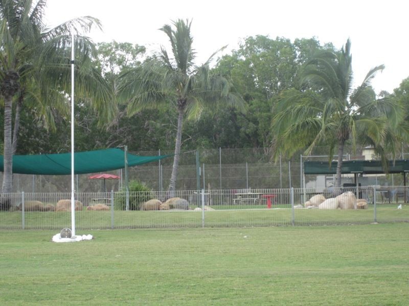 Alligator Creek QLD 4816