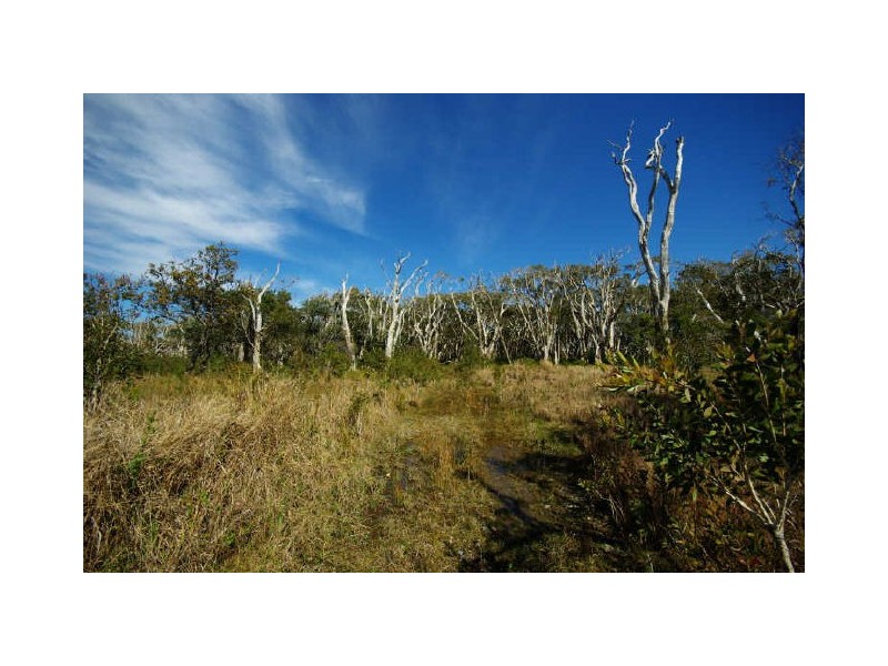 Lot 59 Tasman St, Corindi Beach NSW 2456