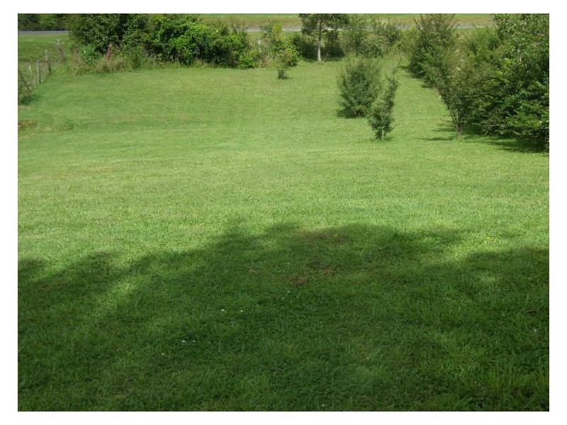 Lot 11 Hutchinson Street, Ulong NSW 2450