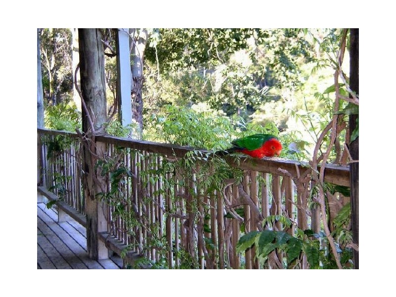 222a Cassidys Road, Bonville NSW 2441