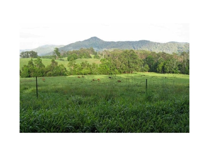 222a Cassidys Road, Bonville NSW 2441