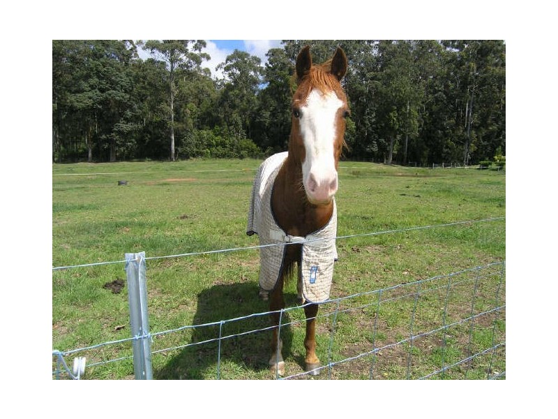 Lot 94 Palm Grove Place, Moonee Beach NSW 2450