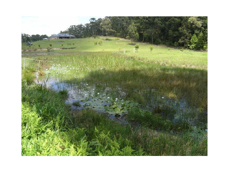 Lot 94 Palm Grove Place, Moonee Beach NSW 2450