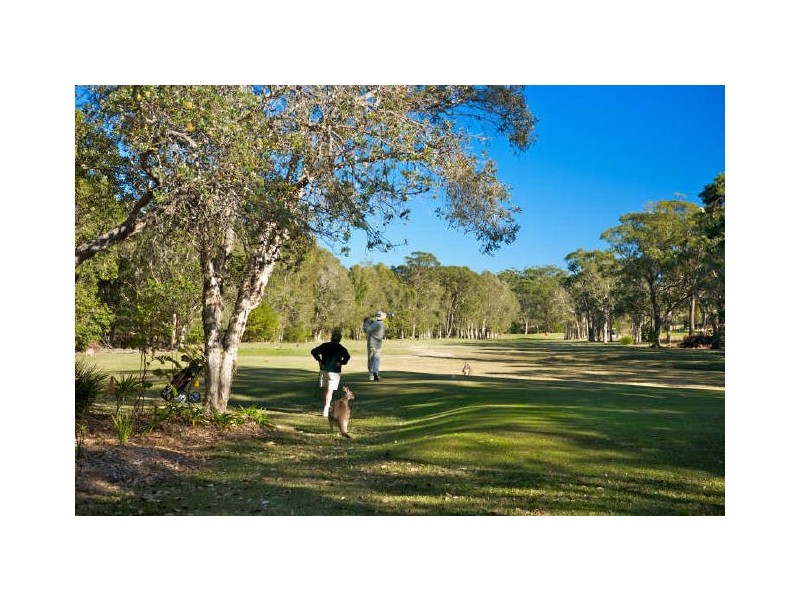 58 Ironbark Ave, Sandy Beach NSW 2456