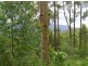 Bucca NSW 2450