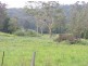 Bucca NSW 2450