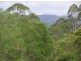 Bucca NSW 2450