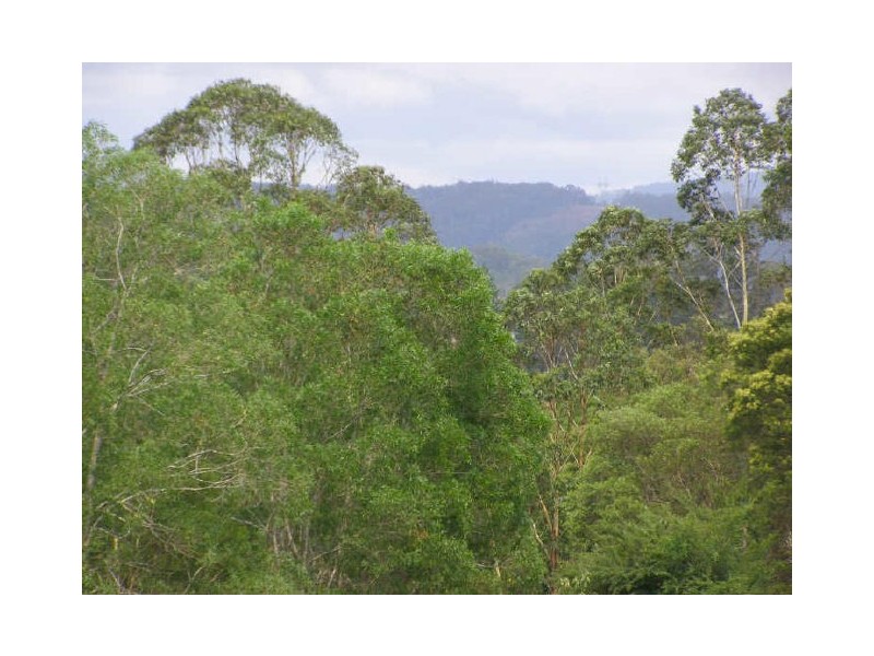 Bucca NSW 2450