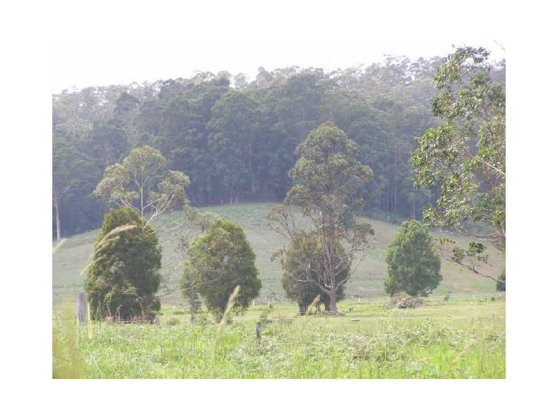 Bucca NSW 2450
