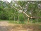 Bucca NSW 2450