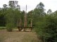 Bucca NSW 2450