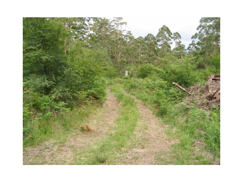 Bucca NSW 2450