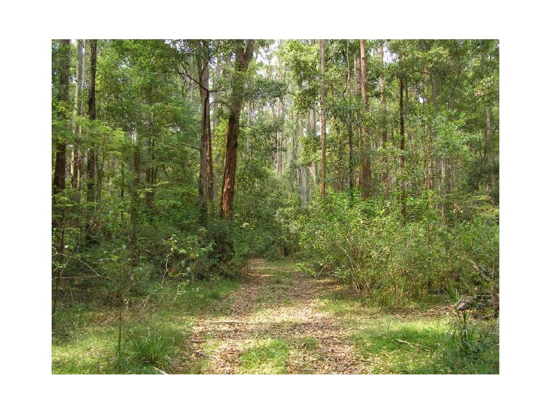 Bucca NSW 2450