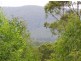 Bucca NSW 2450
