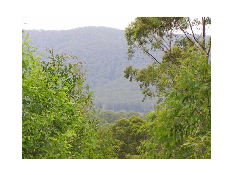 Bucca NSW 2450
