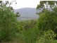 Bucca NSW 2450