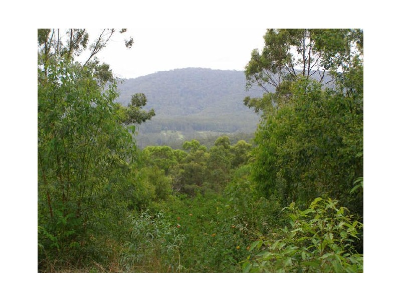 Bucca NSW 2450