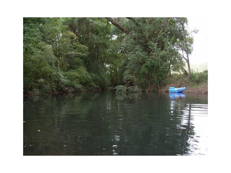 117 Coldwater Creek Road, Nana Glen NSW 2450