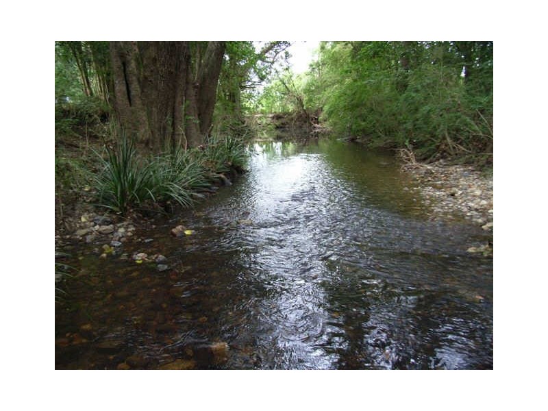 117 Coldwater Creek Road, Nana Glen NSW 2450